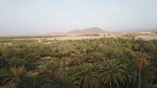 Chacun sa terre Les jardins de Figuig (Maroc)