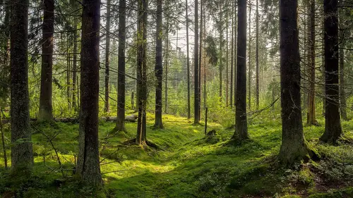 Chacun sa terre Une énergie couteuse