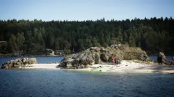 Chacun son île