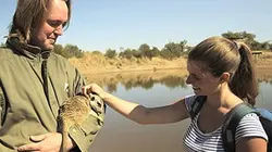 Visuel de Chacun son rêve