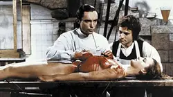 Chair pour Frankenstein