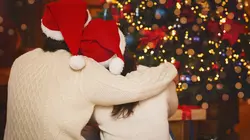 Chalet à vendre, coeur à prendre