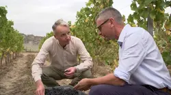 Chambord 1519-2019 : la renaissance