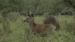 Chambord, quatre saisons