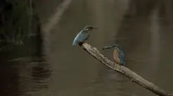 Chambord, quatre saisons