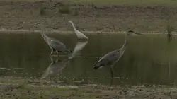 Chambord, quatre saisons