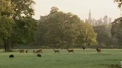 Chambord, quatre saisons