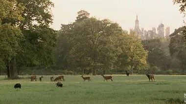 Chambord, quatre saisons