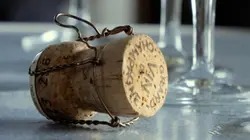 Champagne, l'envers d'un terroir