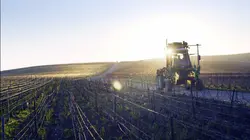 Champagne : une histoire de bulles