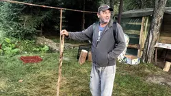 Champignons des Carpates : Quand la nature est source de commerce