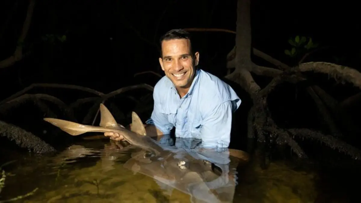 Visuel de Champion de la survie Sauvages terres humides