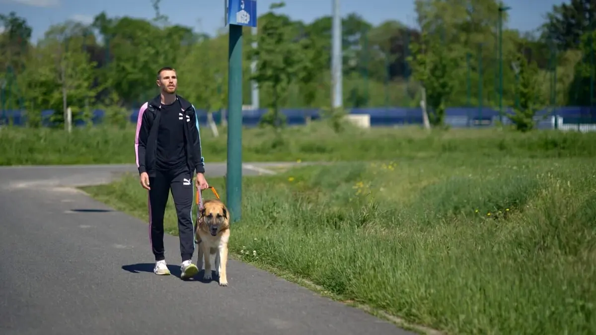 Champion(s) Derniers réglages