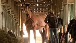 Visuel de Champions 3.0