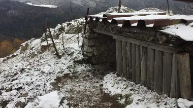 14-18 : Belleau, le bois de l'enfer