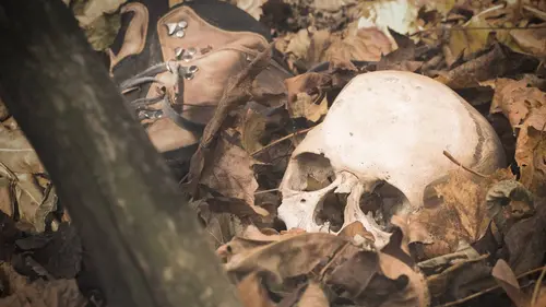 Épisodes de Chandra Levy : Meurtre à Washington