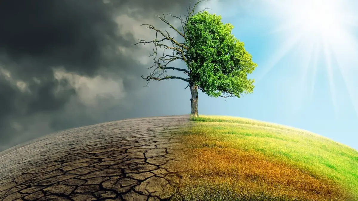 Changement climatique et alimentation