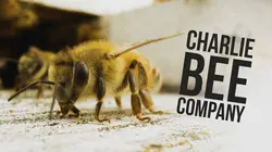 Charlie Bee Company