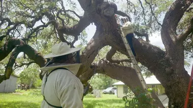 Un apprentissage pour Charlie
