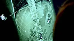 Chasse à l'homme L'intrépide