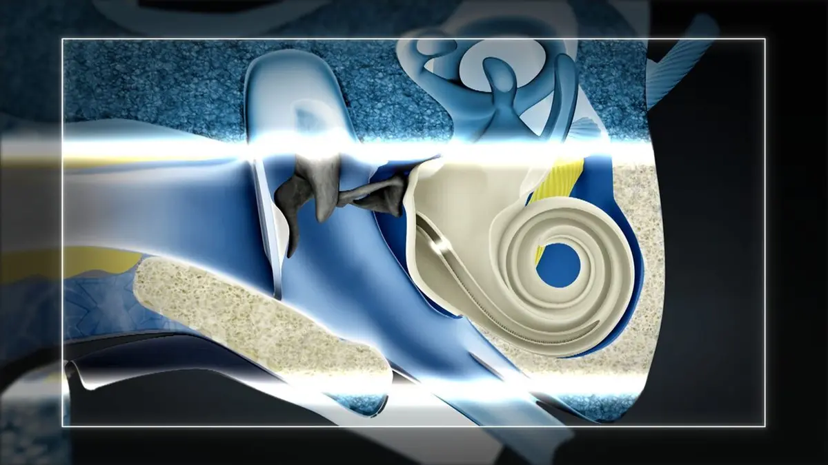 Chasse à l'homme Capitaine Courage