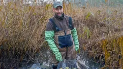 Chasse au ragondin : Une espèce qui menace les digues