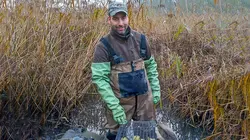 Chasse au ragondin : Une espèce qui menace les digues