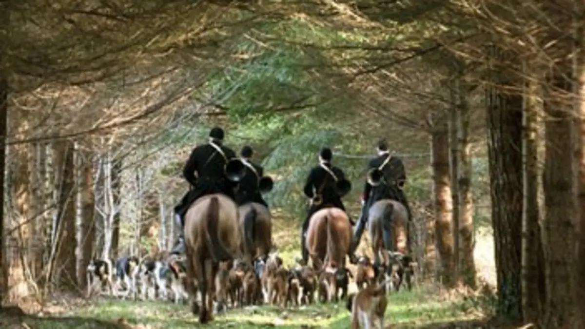 Chasse : le pouvoir du fusil