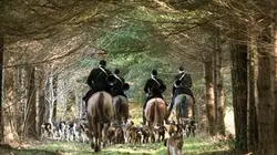 Visuel de Chasse : le pouvoir du fusil