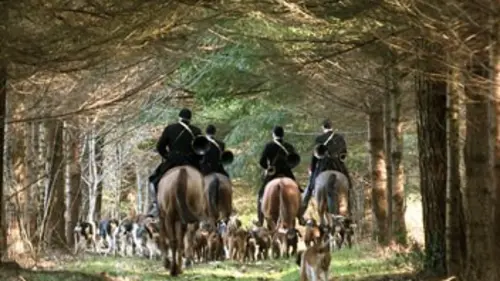 Chasse : le pouvoir du fusil