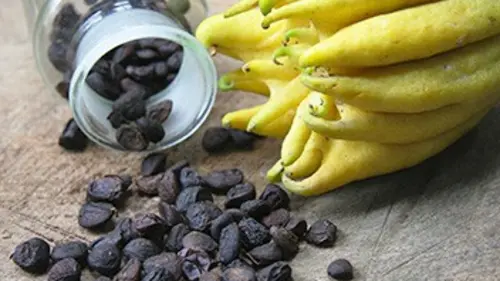Chasseur de saveurs E02 La Chine