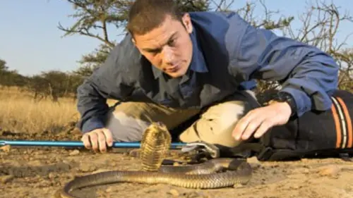 Chasseur de venin S01E01 Invasion extraterrestre