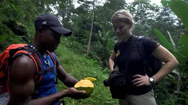 São Tomé : l'aventure nature