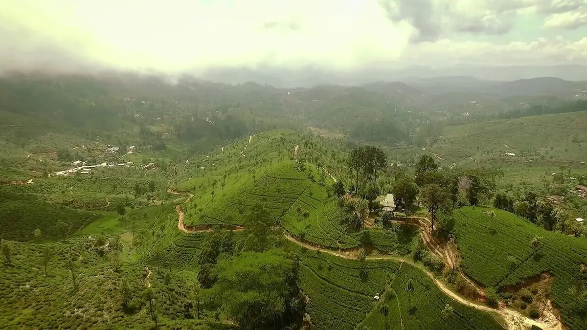 Chasseurs d'aventures Sri Lanka, sur la route du joyau brut de l'océan Indien