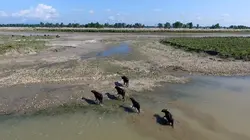 Chasseurs d'aventures  Népal, immersion en terre inconnue