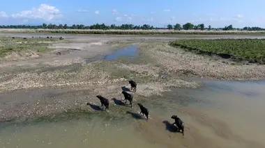 Népal, immersion en terre inconnue
