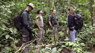 Au coeur des ténèbres