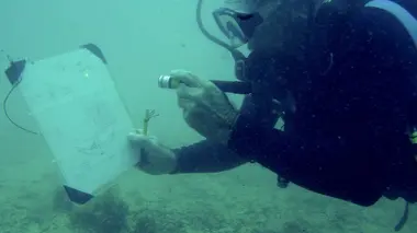 Chasseurs de trésor : L'île aux serpents S01E01 Mission de reconnaissance