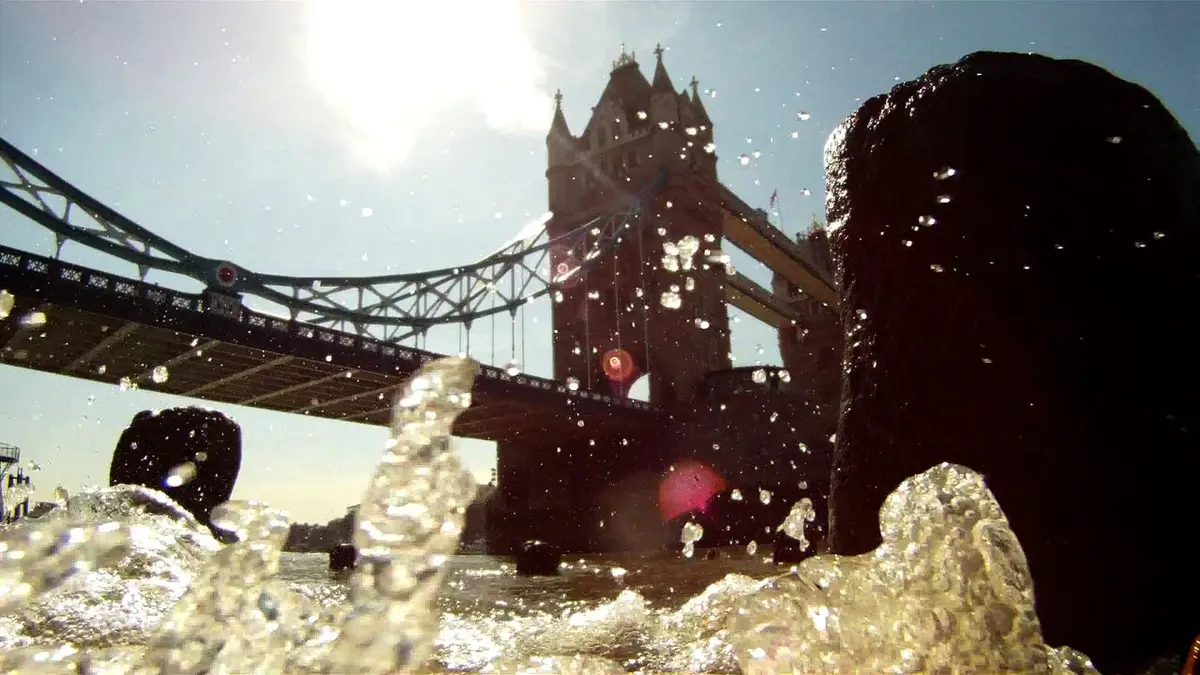Chasseurs de trésors