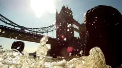 Chasseurs de trésors