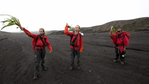 Chasseurs de volcans Vanuatu