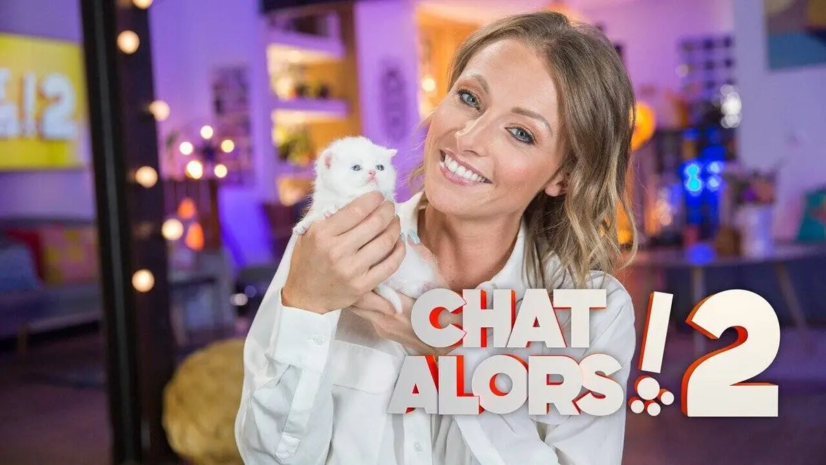 Audiences TV : Chat alors ! 2