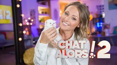 Chat alors ! 2