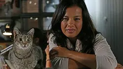 Chats des villes et chats des champs E01 Tous les sens en alerte