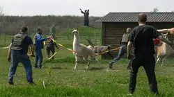 Checkpoint Zoo : Sauvetage sous les bombes
