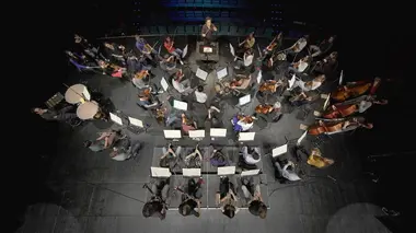Chef d'orchestre, symphonie pour un cerveau