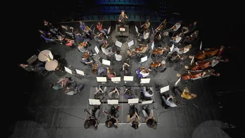 Chef d'orchestre, symphonie pour un cerveau