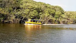 Chemins d'école, chemins de tous les dangers  Le Brésil