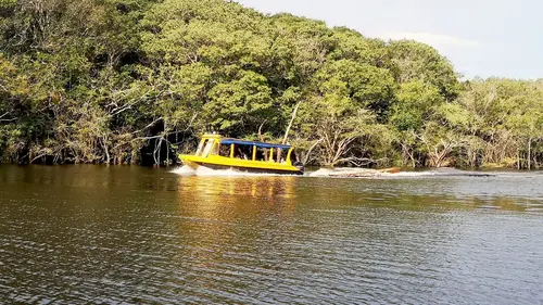 Chemins d'école, chemins de tous les dangers Le Brésil
