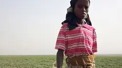 Visuel de Chemins d'école, chemins de tous les dangers